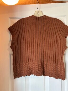 Papermoon Ribbed Crewneck Short-Sleeve Sweater in Rust Brown